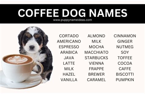 95+ Coffee Dog Names - Puppy Name Ideas