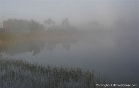 Fog Stock Photos - Dense Fog Advisory Stock Photographs