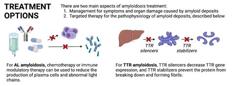 Comprehensive Amyloidosis Program Ucsf Cardiology