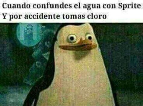 29 mejores imágenes de Momos Memes divertidos Memes y Chiste meme