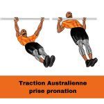 Traction Australienne en Calisthénie Le Guide Complet