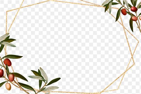 Olive Branches Frame Png Hand Premium Png Rawpixel