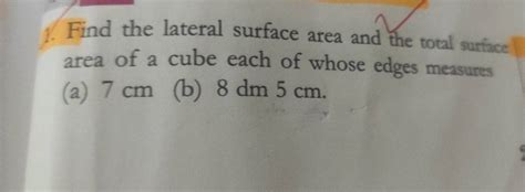 1 Find The Lateral Surface Area And The Total Surface Area Of A Cube Eac