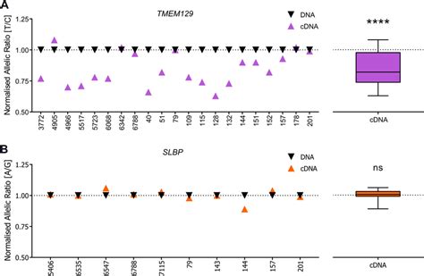 Allelic expression imbalance (AEI) analysis of TMEM129 and SLBP. A ...