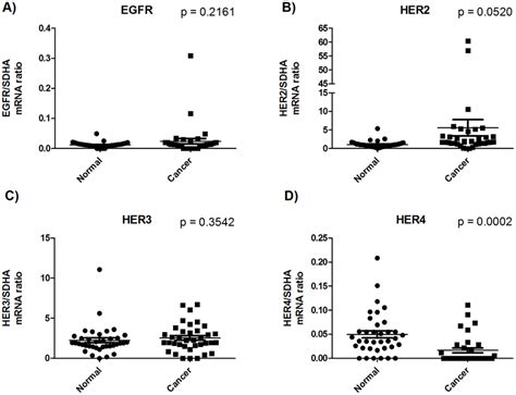 mRNA expressions of the four receptors of the EGF system. All mRNA ... 