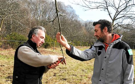 Verger conservatoire Le temps des greffes Le Télégramme