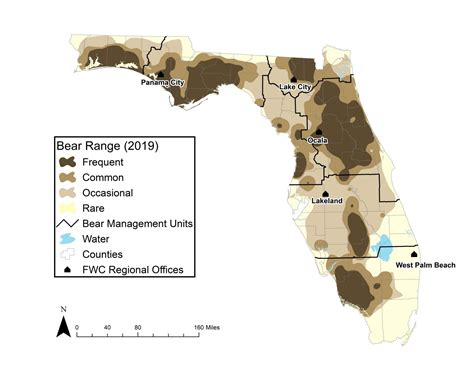 Florida Black Bear • Florida Wildlife Federation