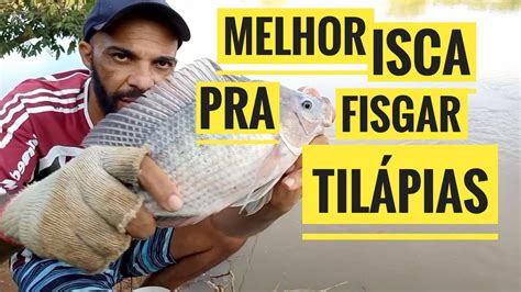 Essa A Melhor Isca Para Pescar Til Pia No Anzol Youtube