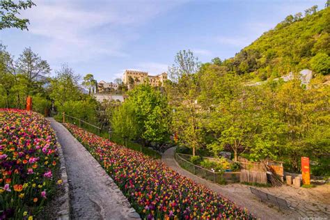 Castel Trauttmansdorff I Giardini Di Sissi Sulle Strade Del Mondo