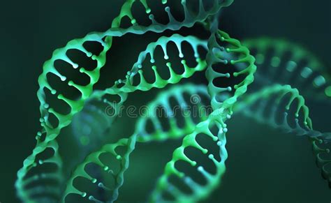 Investigación Del Genoma Del Adn Estructura De La Molécula De Adn