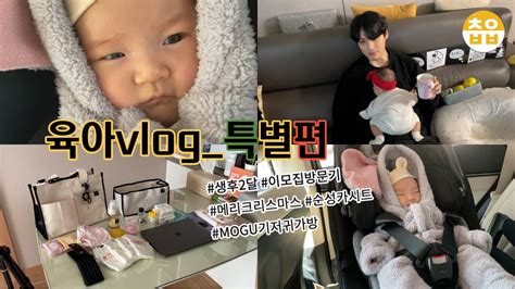 육아vlog 생후2개월👶🏻 인생최장거리🚗 공동육아🧡 미리크리스마스🎄 순성카시트 Youtube