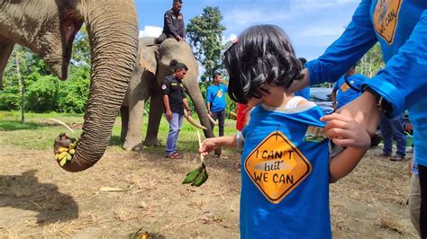 Playing With Elephant At CRU Sampoiniet Aceh Jaya YouTube