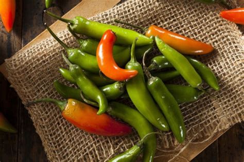 Pepper Serrano Hot Chili Non GMO Heirloom Spicy Vegetable Seeds Sow No GMO USA