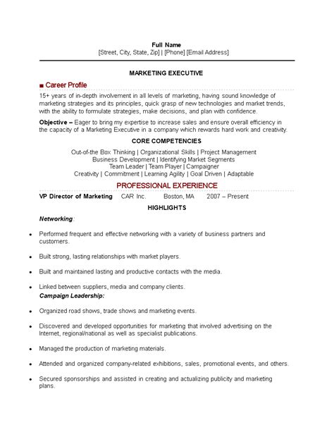 It Marketing Executive Resume Template Templates At