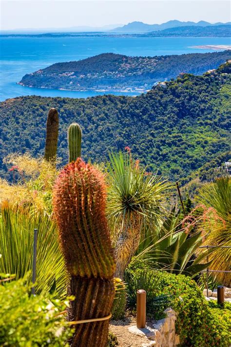 Azure Coast Of Mediterranean Sea Seen From Exotic Botanic Garden Le