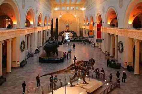 Museo Storia Naturale Di New York Biglietti Cosa Vedere Orari