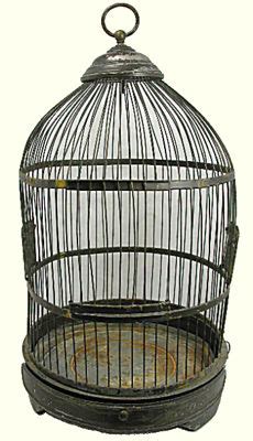 "The Bird Cage" | STORIES - Inspirational and Christian