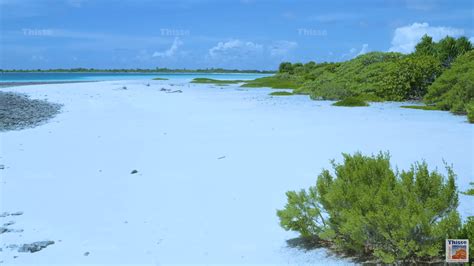 Anuanurunga Atoll Gallery Tropical Islands