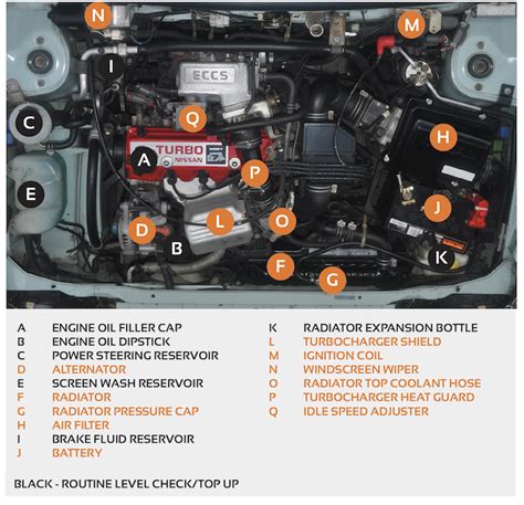 Engine Bay Diagram Gto 30 Basic Parts Of The Car Engine With