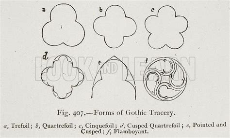 Forms Of Gothic Tracery A Trefoil B Quartrefoil C Cinquefoil D