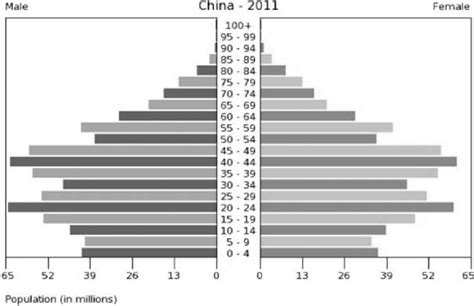 1.4. Population pyramid in China | Download Scientific Diagram