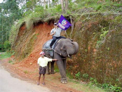 munnar - kerala - India Travel Forum | IndiaMike.com