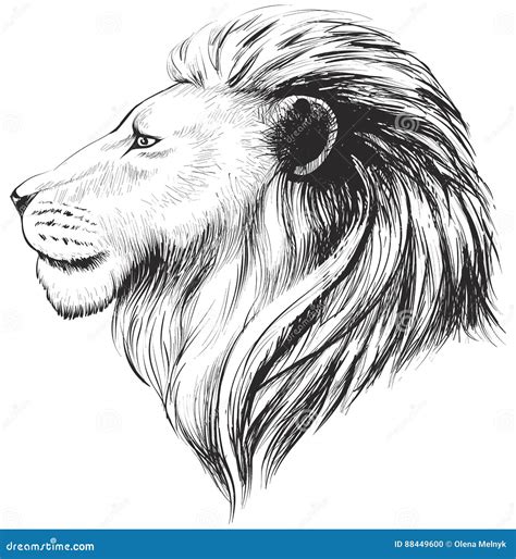 Illustration Lion Profile Color Painting Profile Portrait Royalty Free