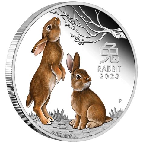 Year Of The Rabbit Get New Year Update