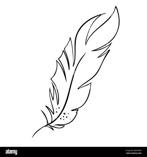 Pluma Silueta Aves Imagen Png Imagen Transparente Descarga Gratuita