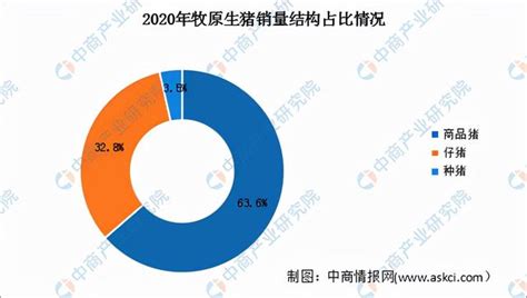 2022年中国猪肉行业市场前景及投资研究预测报告 新加坡新闻