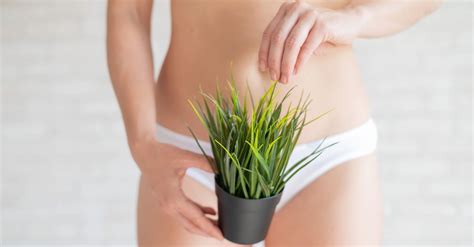 Is Pubic Hair Removal Necessary Best Sale Centralcountiesservices Org