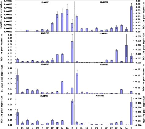 Relative Gene Expression Levels Of Mate Encoding Genes In Various