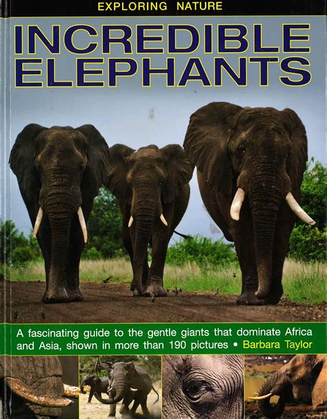 Exploring Nature: Incredible Elephants – BookXcess