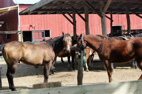 KEEP CALM AND CARRY ON: MARMON VALLEY FARM::HORSEBACK RIDING