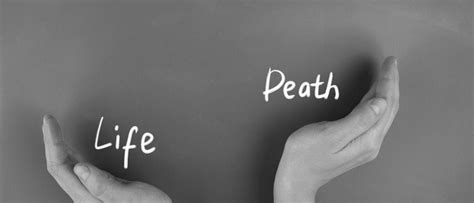 life  death hackernoon