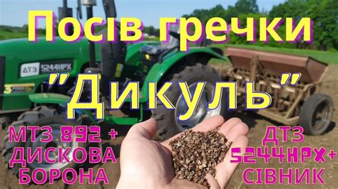Посів гречки "Дикуль". МТЗ 892 & ДТЗ 5244НРХ - YouTube