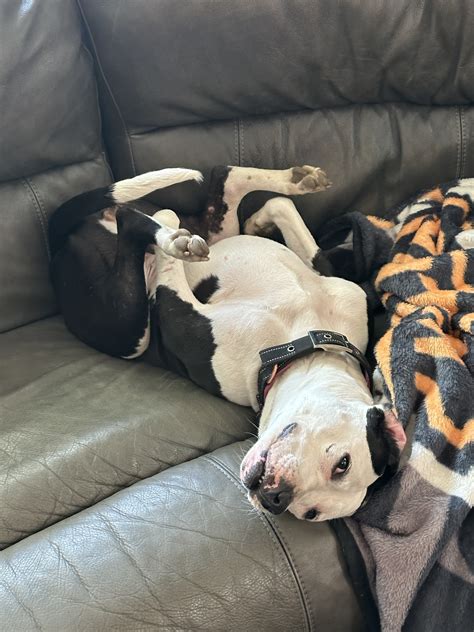 4178 Best Twelve Images On Pholder Earth Porn Be Amazed And History Memes