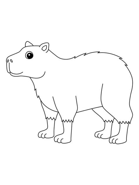 M Larbild Leende Capybara Skiv Ut Gratis P Malarbilder Se