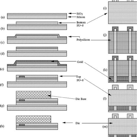 Piezoresistive Cantilever A Plan View And B Section View