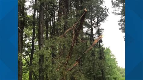 Photos Storm Damage Reported Across East Texas Cbs19 Tv