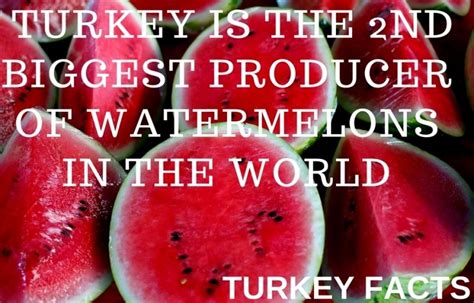 13 remarkable facts about turkey – Artofit