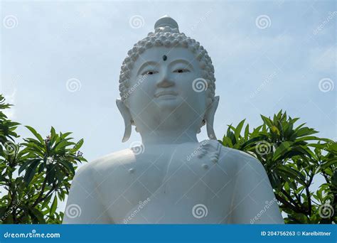 Detalle De La Estatua De Buda De Piedra Primer Plano De La Cara De La