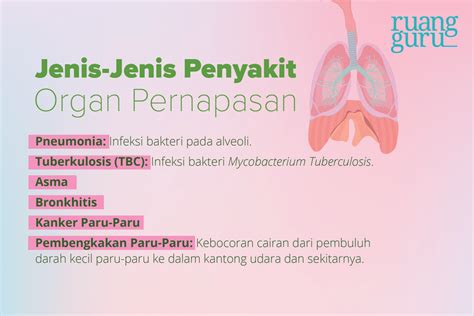 Cara Menjaga Kesehatan Organ Sistem Pernapasan