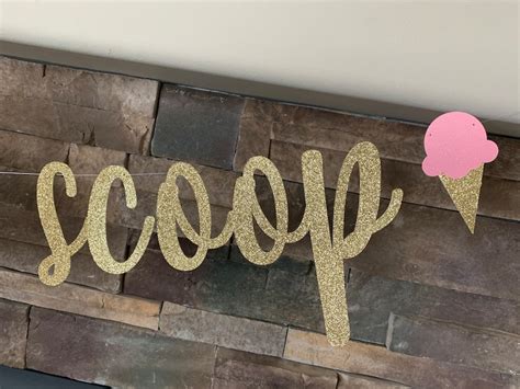 Whats The Scoop Gender Reveal Banner Ice Cream Gender Reveal Etsy