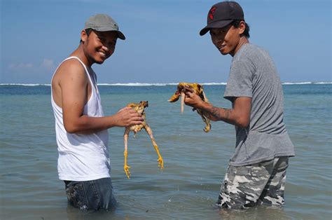 Indonesien Sumba Insel Strände Beach Pantai Rua Barbecue