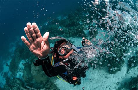 Learn About The Health Benefits Of Scuba Diving Deep Blue Dive Center