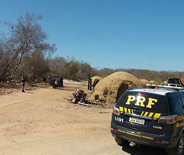 Prf Resgata Pessoas Em Situa O De Trabalho Escravo Cidadeverde