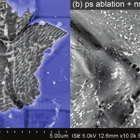 SEM Images Of A Random Pyramid Textured Random Pyramids Silicon