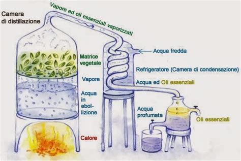 Tutto cominciò macerazione