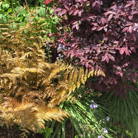 Finding craigslist for virginia gems is actually very easy 1